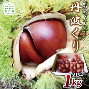 yӂ邳Ɣ[Łz Og 1kg y ʌ ̉wőlC̒OgI zs Y OgY Og aI n I  Â I͂ H̖o kCEȆ͂͂s [010MN0