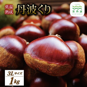 yӂ邳Ɣ[Łzቷn Og 3LTCY 1kg i 500g×2 j OgY Y s Og aI n I  Â I͂ H̖o kCEȆւ̔zs