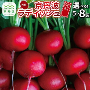 yӂ邳Ɣ[Łz OgfBbV Iׂ  5`8 Zbg s Og 嗱 W[V[ t[eB[ \e[ O o[xL[ Aq[W g T_ X[v AEghA 