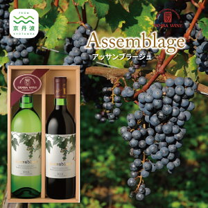 yӂ邳Ɣ[ŁzaHӎďOgCuAbTu[WvZbgyYC ԃC C Cz