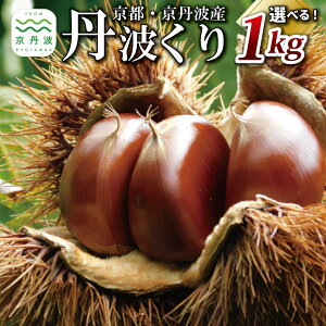 yӂ邳Ɣ[ŁzOg 1kg Iׂ Ƃꂽ `hn 3L 4L TCY s OgY 嗱 I aI Y OgI kCEȆ͔zs