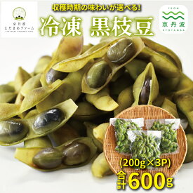 【ふるさと納税】 冷凍 丹波黒枝豆 熟成 600g（200g×3パック） 選べる タイプ レギュラー 熟成 【 国産 京都 丹波 黒豆 えだまめ ビール おつまみ ご当地グルメ 特産品 】 ※北海道・沖縄は配送不可