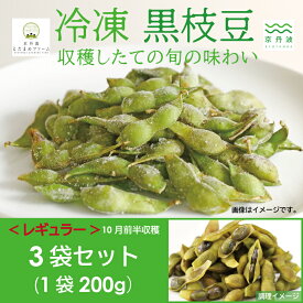 【ふるさと納税】《 レビューキャンペーン 》 冷凍 丹波黒枝豆 レギュラー 600g（200g×3パック） 【 国産 京都 丹波 黒豆 えだまめ ビール おつまみ ご当地グルメ 特産品 】 ※北海道・沖縄は配送不可