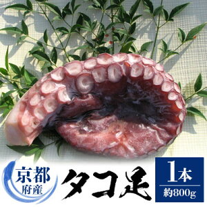 yӂ邳Ɣ[Łzs{Y@^R@1{(Ⓚ:NxQ^pbN)yʕԗizyzsnFzy1045456z