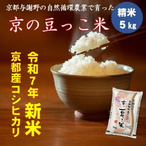 yӂ邳Ɣ[Łzߘa7NVā@s{Yu̓āv5kg@L@엿gp@ÕRVqJ@_ƒy1457196z