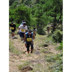 �y�ӂ邳�Ɣ[�Łz�悳�̑�]�R�o�R�}���\���@��]�R�c���R�[�X(23.5km�̕�)�@1���l�Q�����@2026/5/31�J�Áy1511155�z