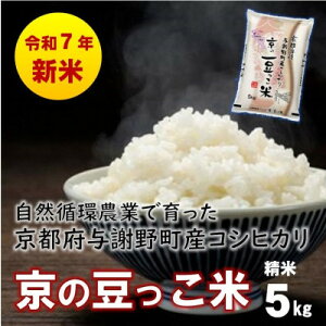 yӂ邳Ɣ[Łzʌ!ߘa7NYV Rz_Ƃňs^Ӗ쒬YRVqJu̓āv@5kgy1615925z
