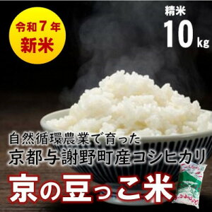 yӂ邳Ɣ[Łzʌ!ߘa7NYV Rz_Ƃňs^Ӗ쒬YRVqJu̓āv@10kgy1625698z