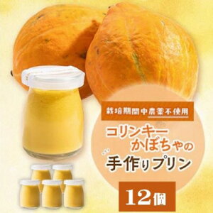 【ふるさと納税】栽培期間中、農薬を使わず自家栽培した「コリンキーかぼちゃ」使用の手作りプリン 12個【配送不可地域:離島】【1670918】