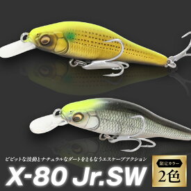 【ふるさと納税】X-80 JR.SW 限定カラー シーバス ルアー 65mm 6g シンキング メガバス ダウンサイジング スモールベイト エスケープアクション ダート 波動 モンスターシーバス 送料無料 大阪市 大阪府