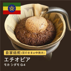 【ふるさと納税】自家焙煎コーヒー!#012 310g モカ シダモG-4 珈琲(豆または中挽きから選択)