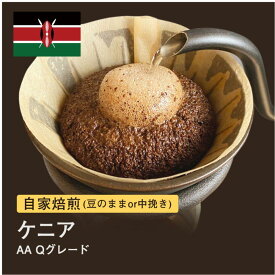 【ふるさと納税】自家焙煎コーヒー！#013 310g ケニア AA Qグレード 珈琲（豆または中挽きから選択）