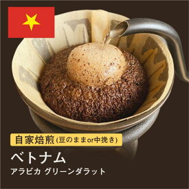 【ふるさと納税】自家焙煎コーヒー！ #172 310g ベトナム アラビカ グリーンダラット 珈琲（豆または中挽きから選択）