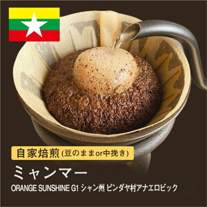 yӂ邳Ɣ[ŁzR[q[I #180 310g ~}[ ORANGE SUNSHINEG1 VB s_ i܂͒҂Ij