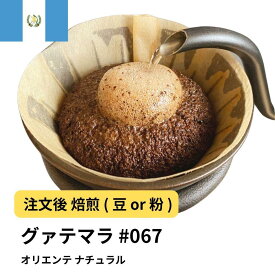 【ふるさと納税】コーヒー #067 グアテマラ オリエンテ ナチュラル 310g 当日焙煎 大山珈琲 （豆または中挽きから選択） | 珈琲 飲料 コーヒー豆 ソフトドリンク 人気 おすすめ 送料無料