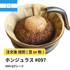 【ふるさと納税】コーヒー #097 ホンジュラス SHG Qグレード 310g 当日焙煎 大山珈琲 （豆または中挽きから選択） | 珈琲 飲料 コーヒー豆 ソフトドリンク 人気 おすすめ 送料無料