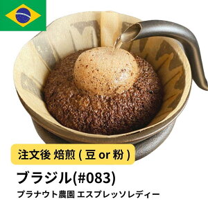 【ふるさと納税】コーヒー #083 エスプレッソ レディー プラナウト農園 310g 当日焙煎 大山珈琲 (豆または中挽きから選択) | 珈琲 飲料 コーヒー豆 ソフトドリンク 人気 おすすめ 送料無料