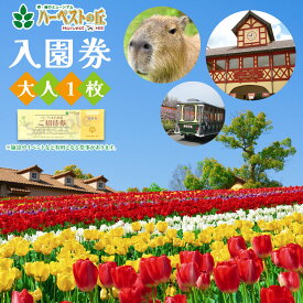 【ふるさと納税】ハーベストの丘入園券　大人