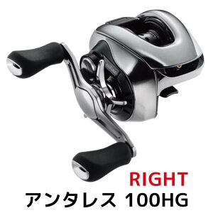 yӂ邳Ɣ[ŁzV}m ދ A^X 100HG RIGHT | ނ ނ ދ   lC  