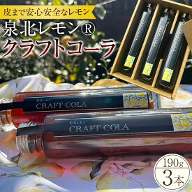 【ふるさと納税】泉北レモン(R)クラフトコーラ 3本セット | 大阪府 堺市 大阪 堺 大阪府堺市 ふるさと 納税 支援 返礼品 支援品 ギフト プレゼント 特産品 新名物 レモン 泉北レモン レモン果汁 コーラ 希少 お取り寄せ お取り寄スイーツ 詰め合わせ お土産 手土産