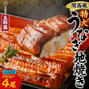 yӂ邳Ɣ[Łz֐ȂnĂ Ⓚ^ 4×250g Ȃ EiM ^ V ` Ă  N̓ Ђ܂Ԃ ȏd  O v[g  蕨 yp̉N̓