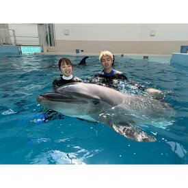 【ふるさと納税】ノアドルフィンドーム　ドルフィンスイム体験　ペア入場券付