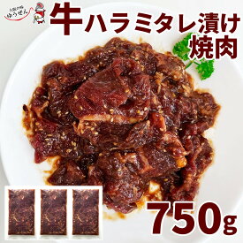 【ふるさと納税】堺の技が光る牛ハラミたれ漬け　750g【牛ハラミ タレ肉 焼肉 タレ漬け 味付け肉 冷凍食品 人気 おすすめ 国産肉 バーベキュー お取り寄せ 通販 送料無料 ふるさと納税 大阪 堺市】