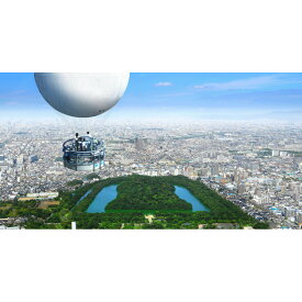 【ふるさと納税】おおさか堺バルーン搭乗チケット