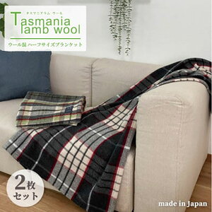 yӂ邳Ɣ[Łzѕz n[tTCY 90×140cm 2 x[W  O[ Zbg ^X}jA E[ѕz n[tPbg uPbg Ђ| E[ѕz n[t ӂӂ | Q 