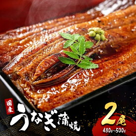 【ふるさと納税】国産うなぎ蒲焼 2尾 (480g～500g) セット 詰め合わせ 国産 うなぎ 鰻 国産うなぎ 国産鰻 うなぎの蒲焼 鰻の蒲焼 うなぎの蒲焼き 鰻の蒲焼き 蒲焼き 惣菜 魚 魚介 魚介類 大阪 大阪府 岸和田市　お届け：最大で1ヶ月程度かかる場合がございます。