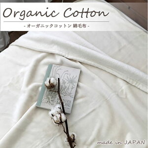 【ふるさと納税】毛布 シングル 140×200cm アイボリー 贅沢 ふわふわ オーガニックコットン 綿毛布 ブランケット 肌掛け 肌掛け布団 肌布団 掛け布団 布団 高級 綿100% 日本製 寝具 大阪 大阪府