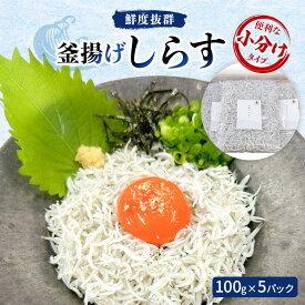 【ふるさと納税】鮮度抜群 釜揚げしらす100g×5パック　便利な小分けタイプ