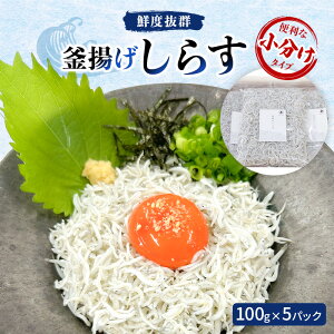 yӂ邳Ɣ[ŁzNxQ g炷100g×5pbN@֗ȏ^Cv