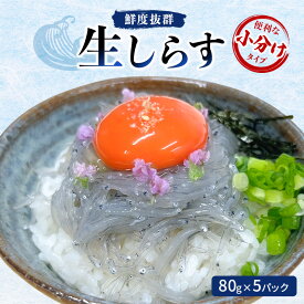 【ふるさと納税】鮮度抜群 生しらす80g×5パック　便利な小分けタイプ