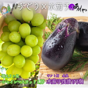 yӂ邳Ɣ[Łz蕨Ɂ@ɏuvVC}XJbg1[ƋɏuvBȂʂЂ5 v2.5kg@͂F2025N8{`10{܂