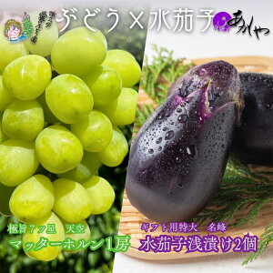yӂ邳Ɣ[Łzɏuv}b^[z嗱[Ԃǂ |ēIɏuvBȂʂЂ2v1.5kg@͂F2025N8{`10{܂