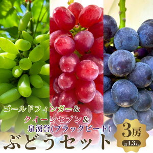 �y�ӂ邳�Ɣ[�Łz�y��s�\��z�y���ʌ���z�Ĉ�� �Ԃǂ��Z�b�g 3�F 3�[ �Z�b�g �l�ߍ��킹 �S�[���h�t�B���K�[ �N�C�[���Z�u�� ��N�_ ���� �Ԃǂ� �H�ה�� �t���[�c �ʕ� �{�̃t���[�c 