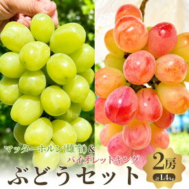 【ふるさと納税】ぶどうセット 2種 食べ比べ 先行予約 数量限定 マッターホルン 雄宝 バイオレットキング 2房 計1.4kg 大粒 皮ごと 種なし 高糖度 旬のぶどう フルーツ 果物 葡萄 ブドウ 大阪府 岸和田市産　お届け：2026年8月下旬～10月上旬まで