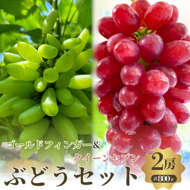 【ふるさと納税】【先行予約】【数量限定】おすすめ感謝 セット ぶどうセット クイーンセブン ゴールドフィンガー 2房 セット 詰め合わせ 葡萄 ぶどう 食べ比べ フルーツ 果物 旬の果物 大阪 大阪府 岸和田市　お届け：2026年8月中旬～9月中旬まで