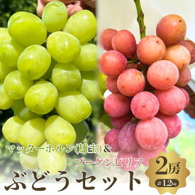 【ふるさと納税】【先行予約】【数量限定】おすすめ感謝 セット ぶどうセット マッターホルン ブーゲンビリア 2房 詰め合わせ 葡萄 ぶどう ブドウ 食べ比べ フルーツ 果物 旬の果物 大阪 大阪府 岸和田市　お届け：2026年9月上旬～10月上旬まで