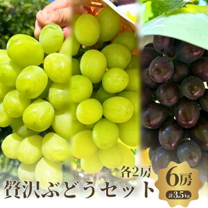 �y�ӂ邳�Ɣ[�Łz�y��s�\��z�y���ʌ���z�ґ� �V���C���i�� �Ԃǂ��Z�b�g 3�� 6�[ �Z�b�g �l�ߍ��킹 �Ԃǂ� �u�h�E �}�X�J�b�g �V���C���}�X�J�b�g �H�ה�� �t���[�c �ʕ� �{�̉ʕ� ��