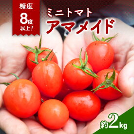 【ふるさと納税】【2025年10月～順次出荷】ミニトマト2kg　アマメイド糖度8度以上　高リピート率野菜　お届け：2025年10月20日～2026年7月20日まで