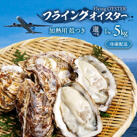 【ふるさと納税】牡蠣 殻付き 冷凍 カンカン焼き カキ かき 選べる 1kg ～ 5kg (約11個～100個) 加熱用 ガンガン焼き BBQ 鍋 海鮮 フライングオイスター 調理方法付き 大阪府 岸和田市