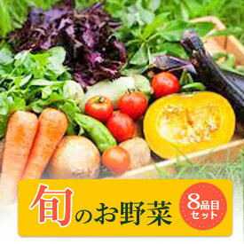 【ふるさと納税】大阪泉州産旬のぎゅうぎゅう野菜セット