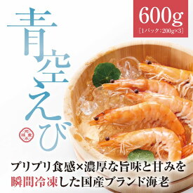 【ふるさと納税】 青空えび（和名：シロアシエビ）3パック入り / 海老 えび 冷凍