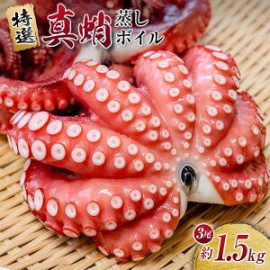 yӂ邳Ɣ[Łz[Iׂe] _eʁ^  ^ {C 700g`1.5kg 1`3@yzsnFkCEEz |  ^R hg hg Ă ₫  h 