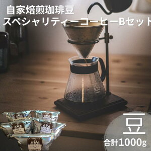 【ふるさと納税】 自家焙煎珈琲豆スペシャリティーコーヒーBセット(合計1000g)【豆でお届け】
