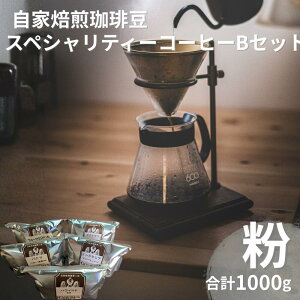 【ふるさと納税】 自家焙煎珈琲豆スペシャリティーコーヒーBセット(合計1000g)【粉でお届け】