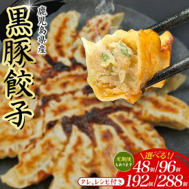 【ふるさと納税】餃子 48~288個 定期便 冷凍 小分け 選べる 黒豚餃子 ぎょうざ ギョーザ 豚肉 家族 子ども 弁当 中華 惣菜 大容量 人気 ランキング 美味しい おいしい 焼き餃子 揚げ餃子 ふるさと納税餃子