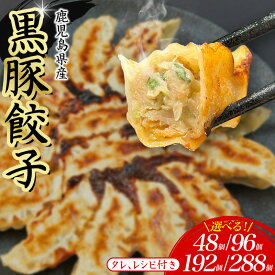 【ふるさと納税】餃子 48~288個 冷凍 小分け 選べる 黒豚餃子 ぎょうざ ギョーザ 豚肉 家族 子ども 弁当 中華 惣菜 大容量 人気 ランキング 美味しい おいしい 焼き餃子 揚げ餃子 ふるさと納税餃子